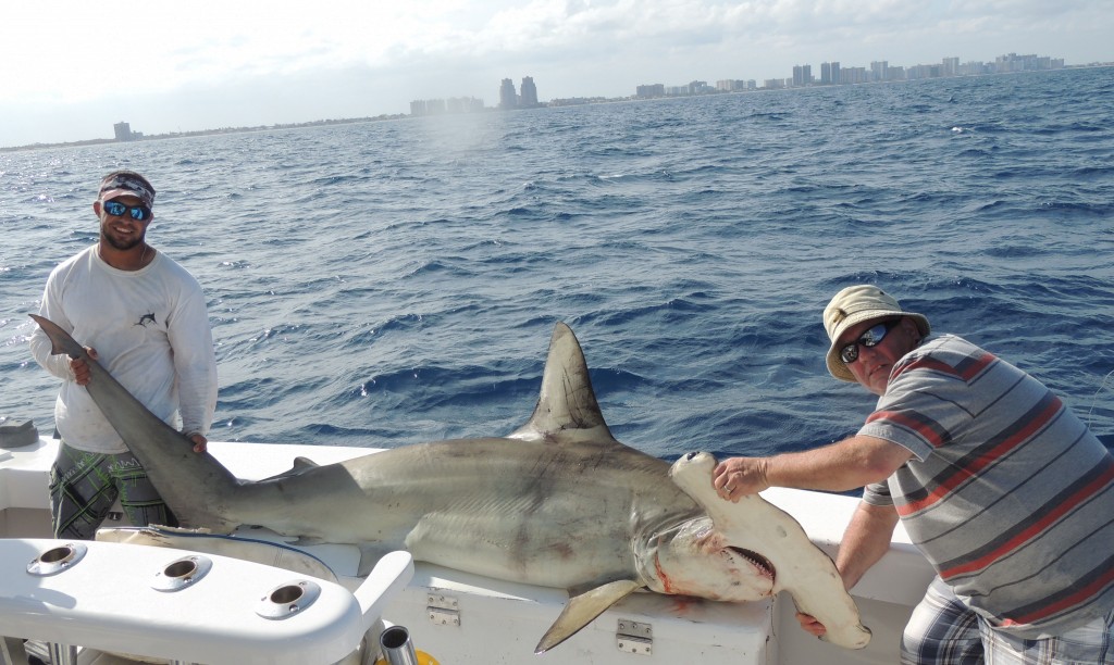 Fort Lauderdale Shark Fishing | Fishing Headquarters